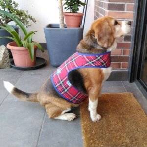 Chaleco repelente de garrapatas y mosquitos