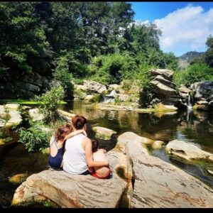 Repelente de insectos