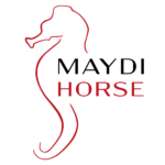 LOGO MAYDI HORSE vertical sense fons